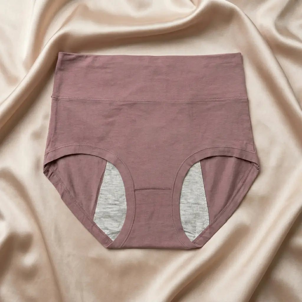 Nazneenah Leakproof Period Panty (Pack of 2)