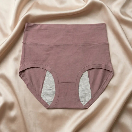 Nazneenah Leakproof Period Panty (Pack of 2)