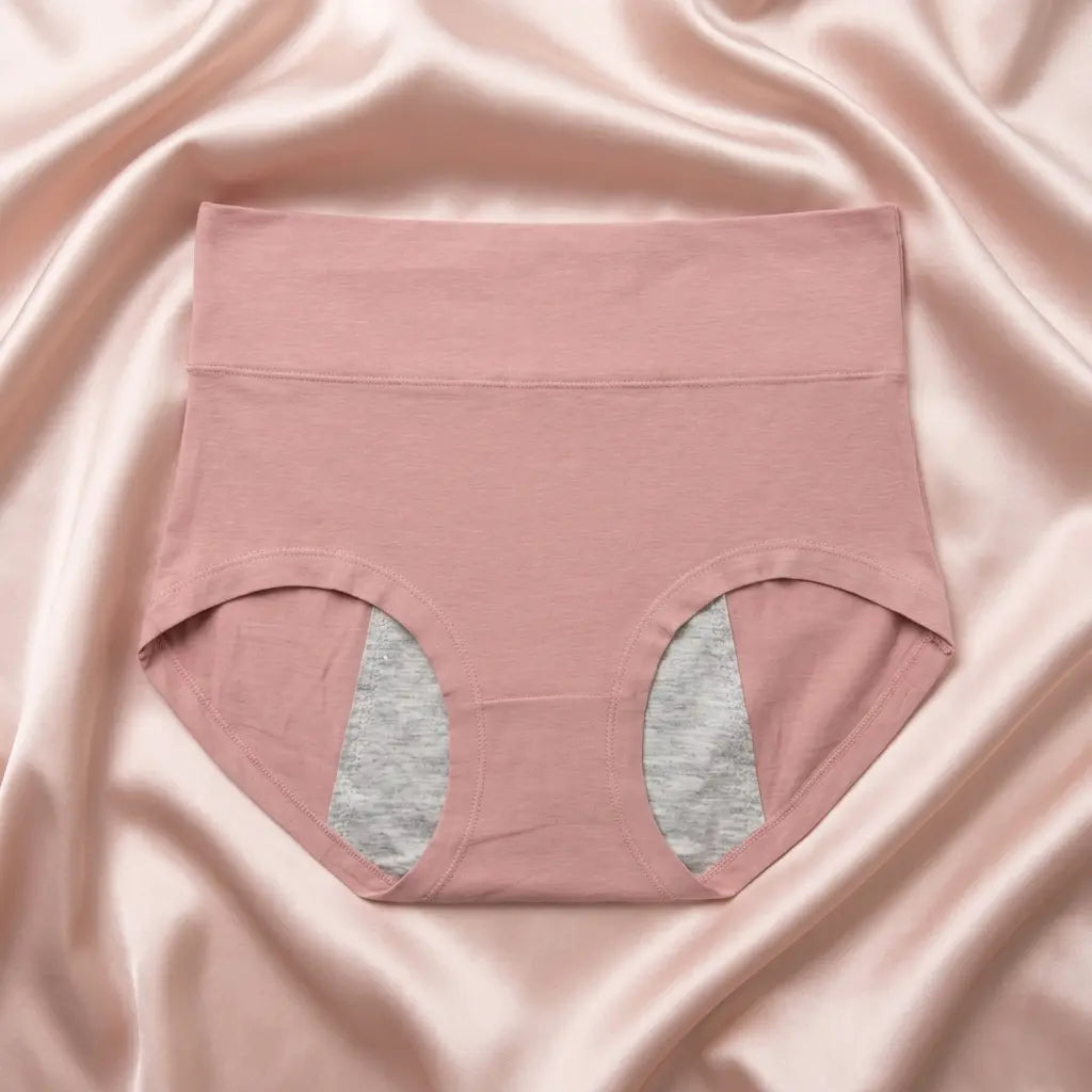 Nazneenah Leakproof Period Panty (Pack of 2)