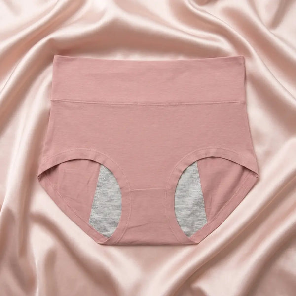 Nazneenah Leakproof Period Panty (Pack of 2)